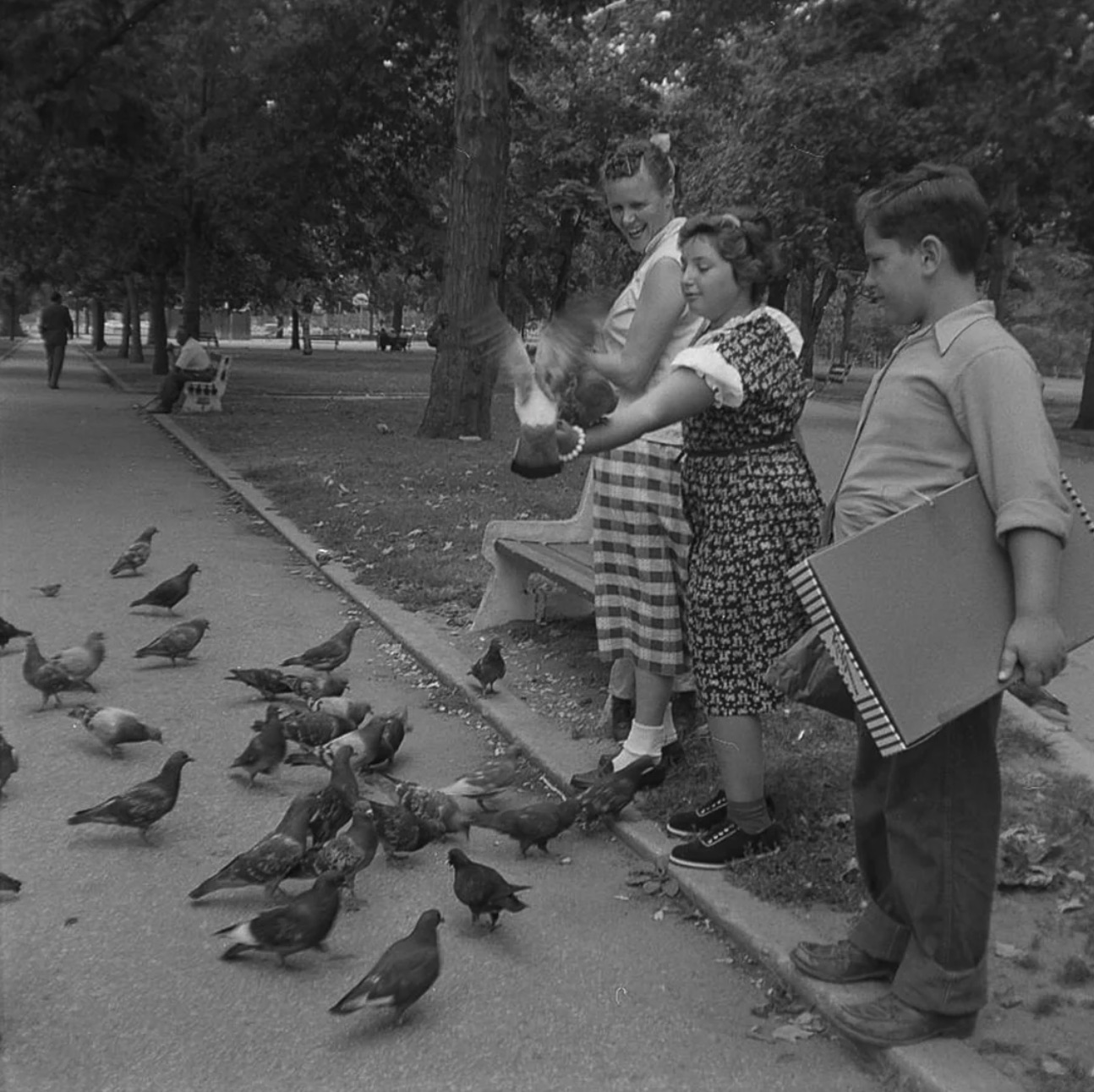 Pigeon feast. 